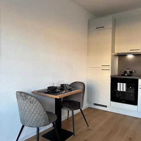 Union Near Train Station Apartment Linz